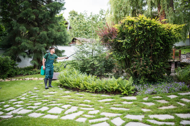 Best Best Pest Control Companies  in Shady Cove, OR