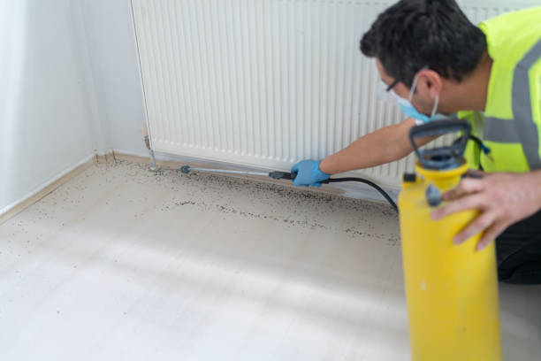 Best Mosquito Control Services  in Shady Cove, OR